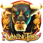 Cuộc Đua Bò Tót